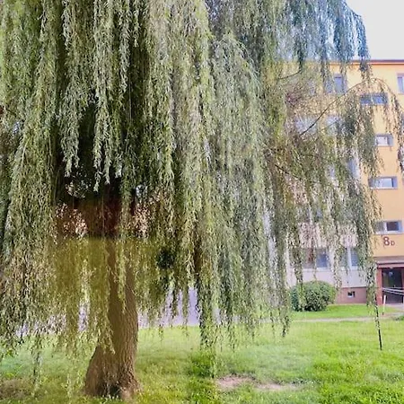 Apartment Szeptajaca Wierzba